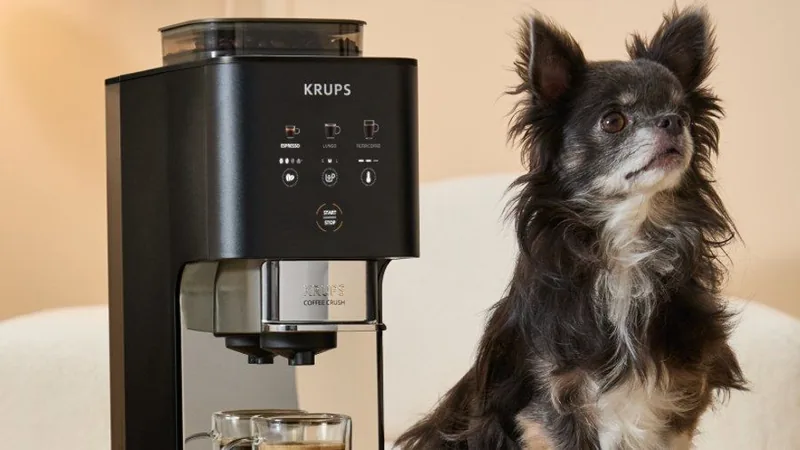 Coffee Crush, compacte et élégante